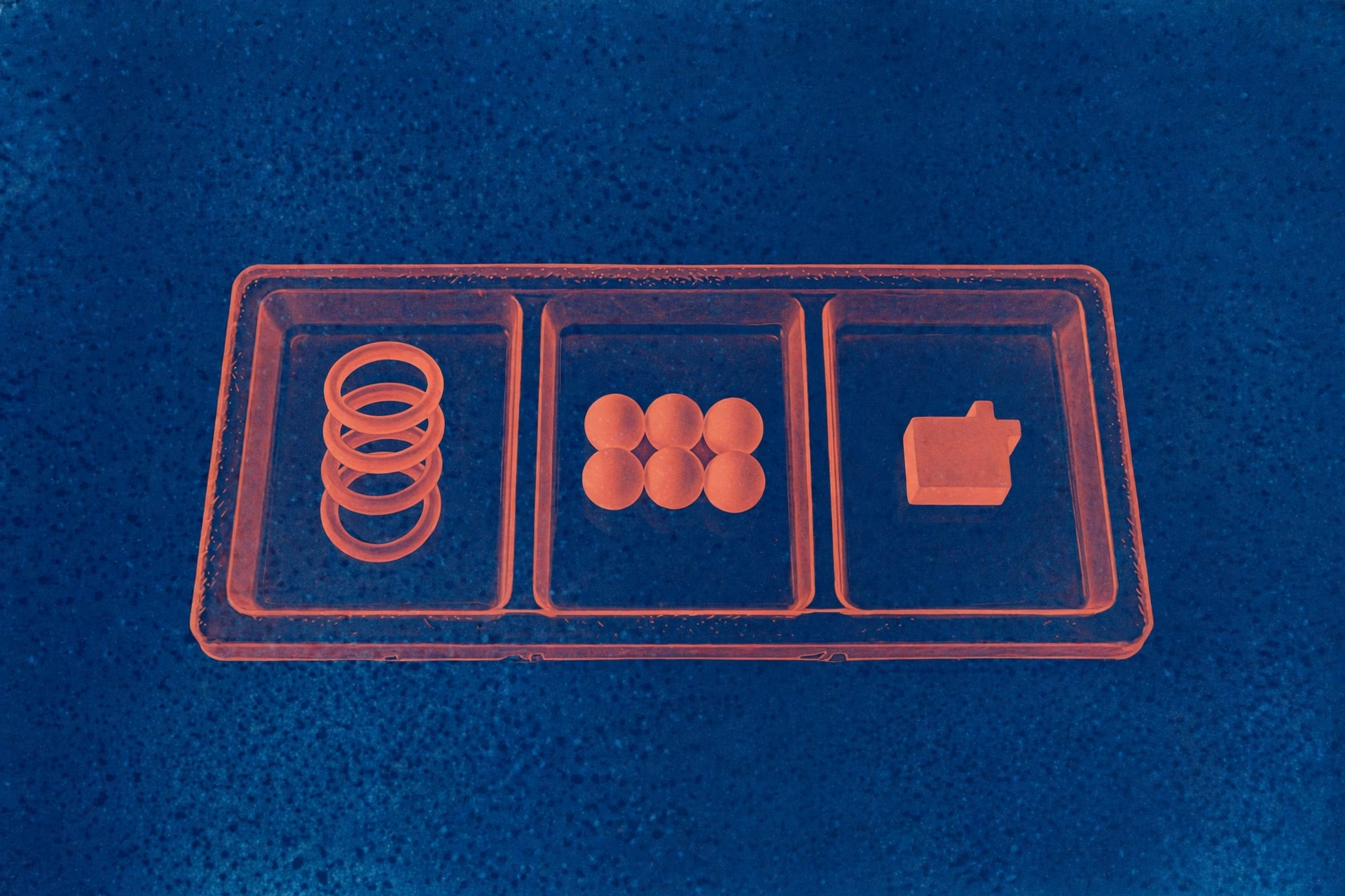 A photograph shows a clear plastic tray with three compartments, each containing an orange-colored object on a blue, speckled background.